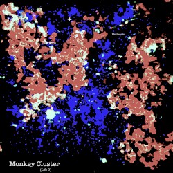 Monkey Cluster (Life 9)