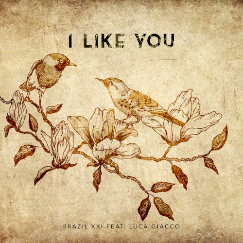 I Like You
