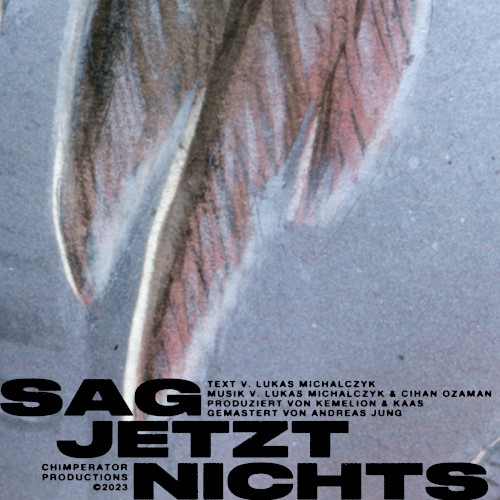 SAG JETZT NICHTS (Single Version)