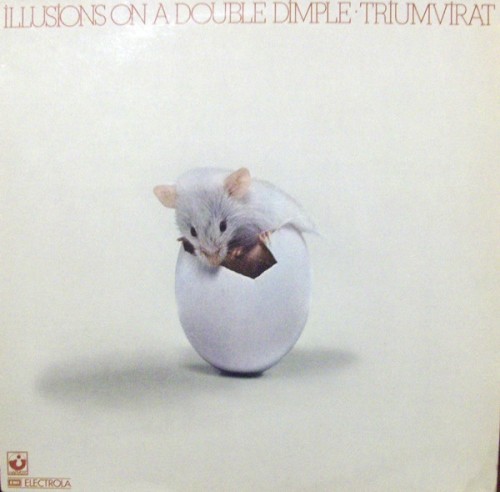 Illusions on a Double Dimple