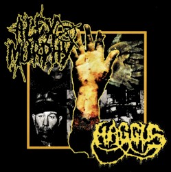 Haggus / Alex Murphy