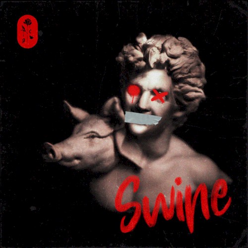 Swine