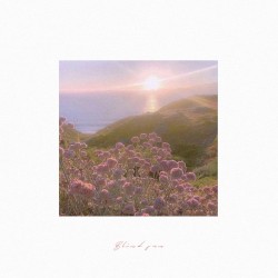 Blind Sun