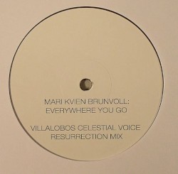 Everywhere You Go (Villalobos Mixes)