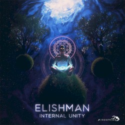 Internal Unity