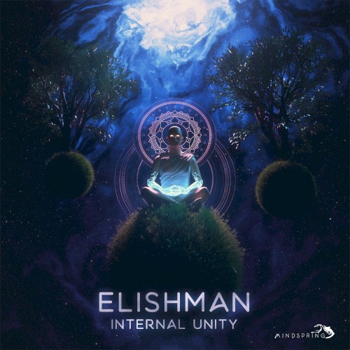 Internal Unity