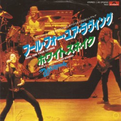 Fool For Your Loving = フール・フォー・ユア・ラヴィング