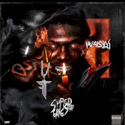 Possessed 2