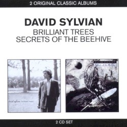 Brilliant Trees / Secrets Of The Beehive