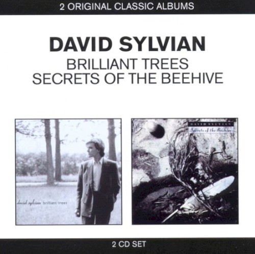 Brilliant Trees / Secrets Of The Beehive