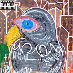BIRDS I VIEW