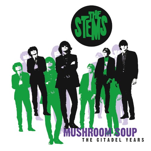 Mushroom Soup (The Citadel Years)