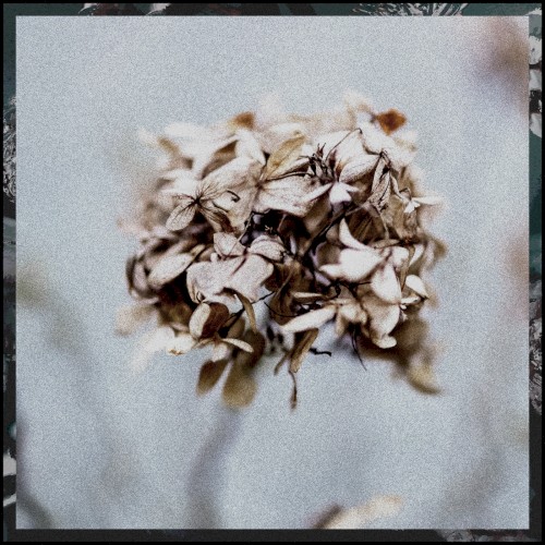 Euphoria of Wilted Flowers