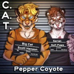 C.A.T.