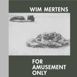 For Amusement Only