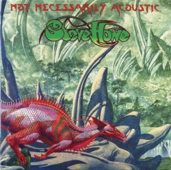 Not Necessarily Acoustic