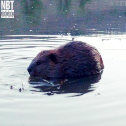 Beaver