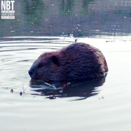 Beaver