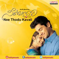 Nee Thodu Kavali