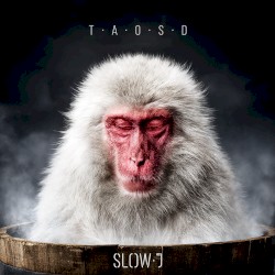 The Art Of Slowing Down