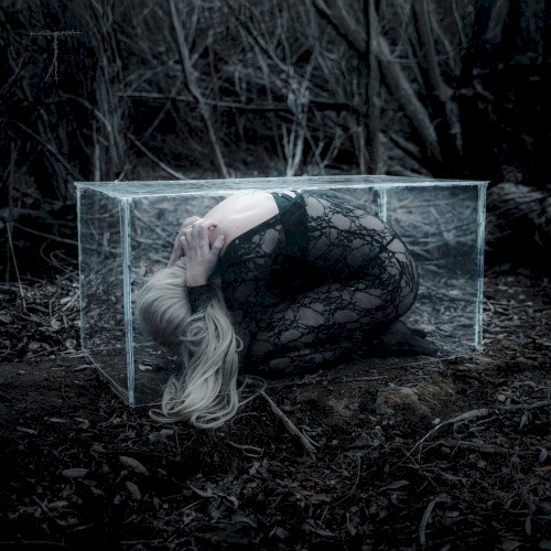 Hide n Seek
