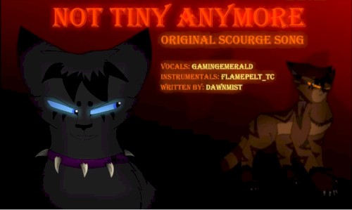 Not Tiny Anymore