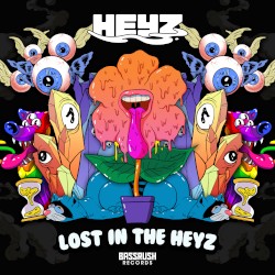 Lost in the HEYZ