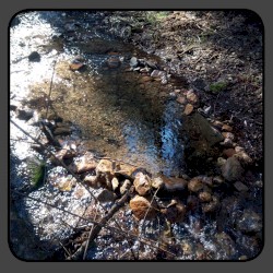 Moonlit Missive #77: 'March'