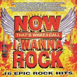 NOW That’s What I Call I Wanna Rock
