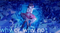 why,or why not