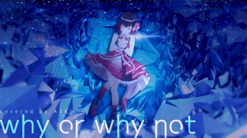 why,or why not