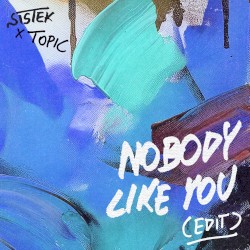 Nobody Like You (Topic Edit)