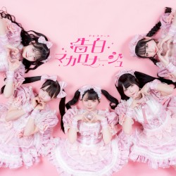 告白マカロナージュ