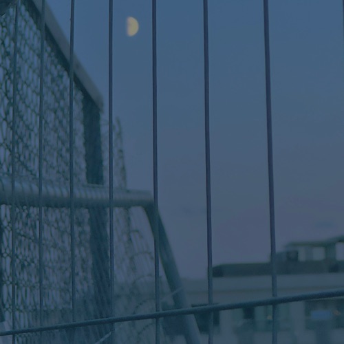 Moonlit Shadows