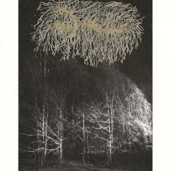To Exist Among Wolves