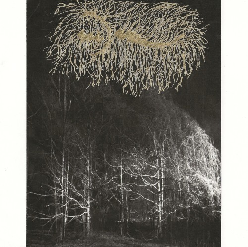 To Exist Among Wolves