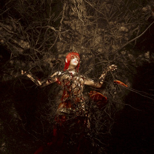 Dying Sun