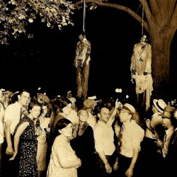 Strange Fruits Project