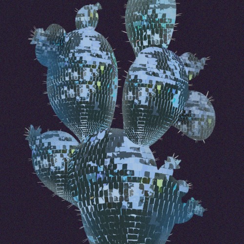 Cactus Dance