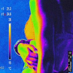 Body Heat