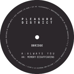 Pleasure District 010