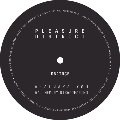 Pleasure District 010