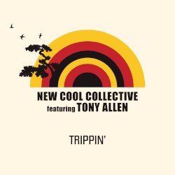 Trippin’