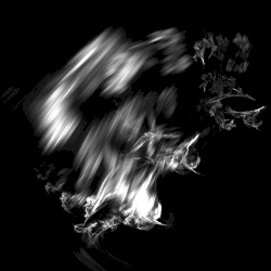 Blank Dust