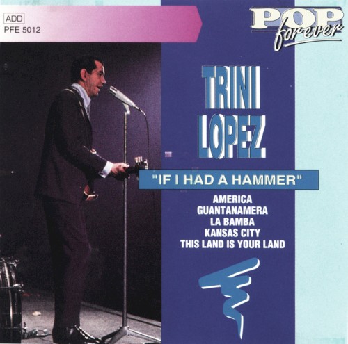 If I Had a Hammer