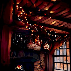 where it’s warm