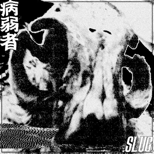 .Slug.