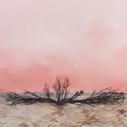 Seven Storms