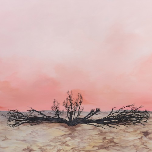 Seven Storms