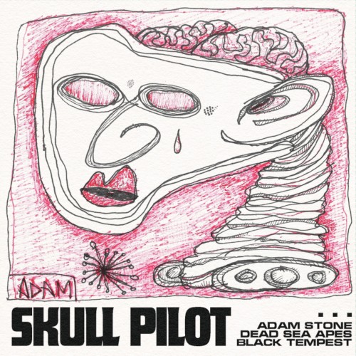 Skull Pilot